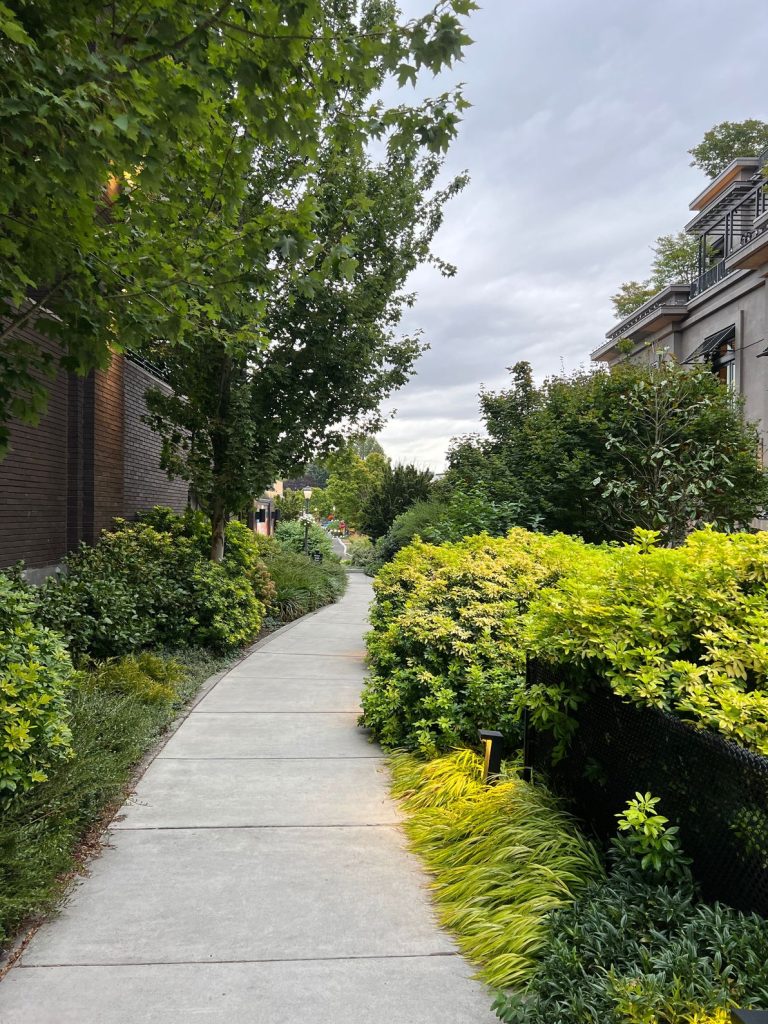 UW Village, Seattle
